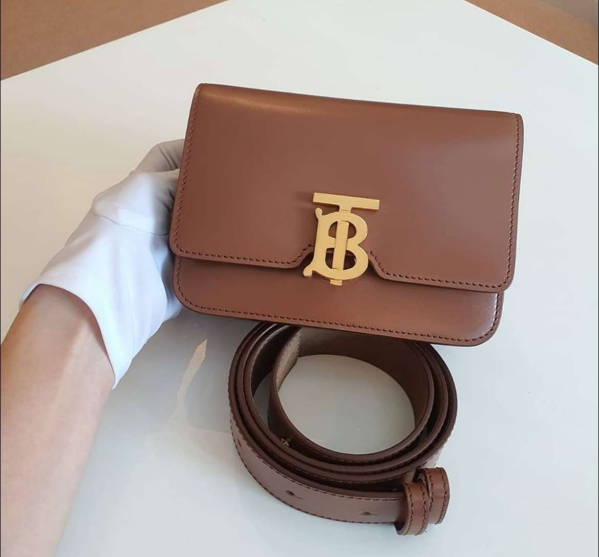 The Regent Masterpiece Bag-Burberry (Brown)