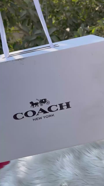 Coach Mini Darcie Carryall Handbag